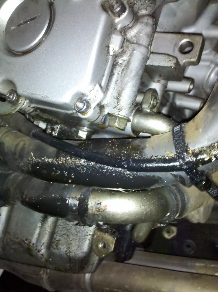 2002 R6 Oil Leak Right Side Yamaha R6 Forum YZFR6 Forums